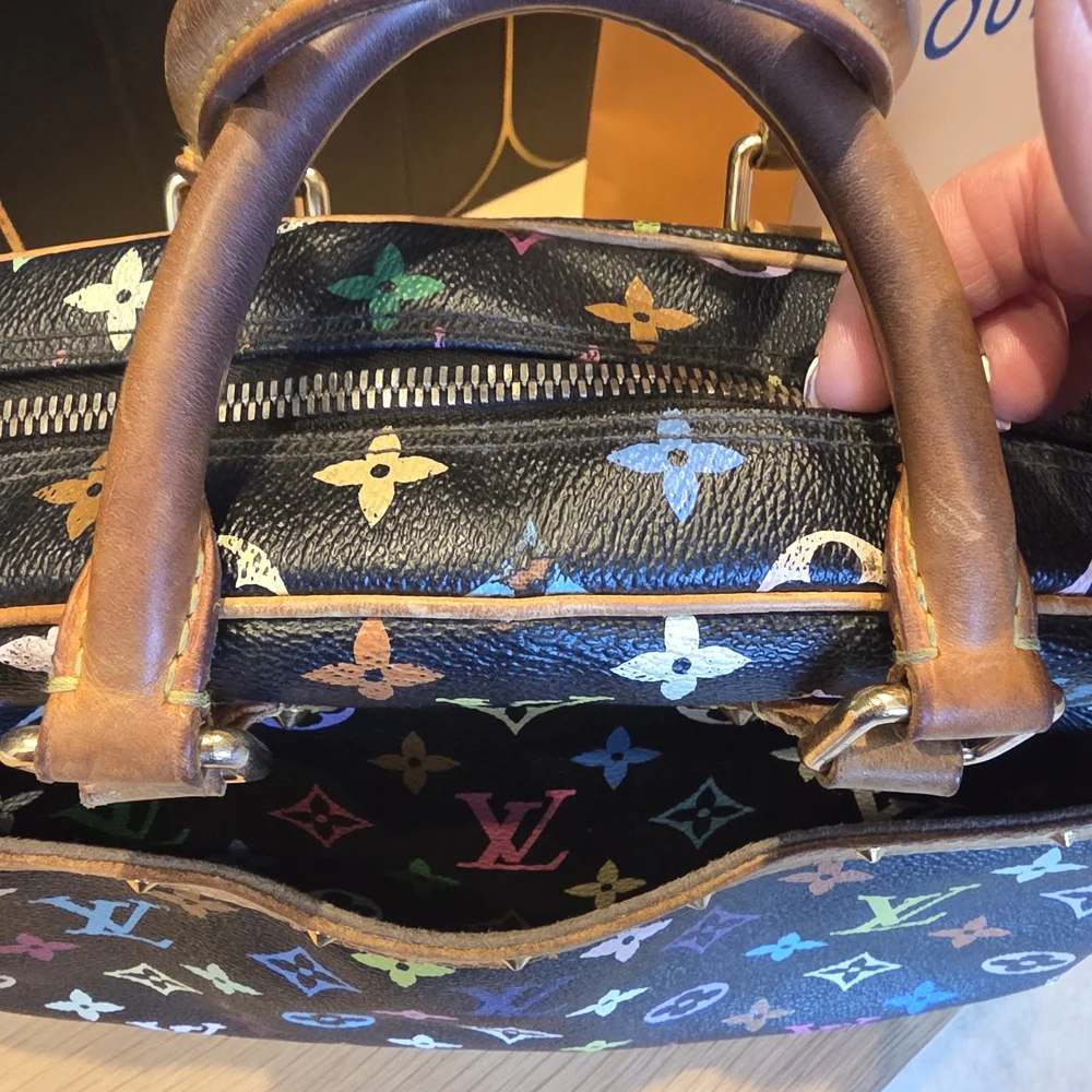 Louis Vuitton Multicolor Monogram Handbag
